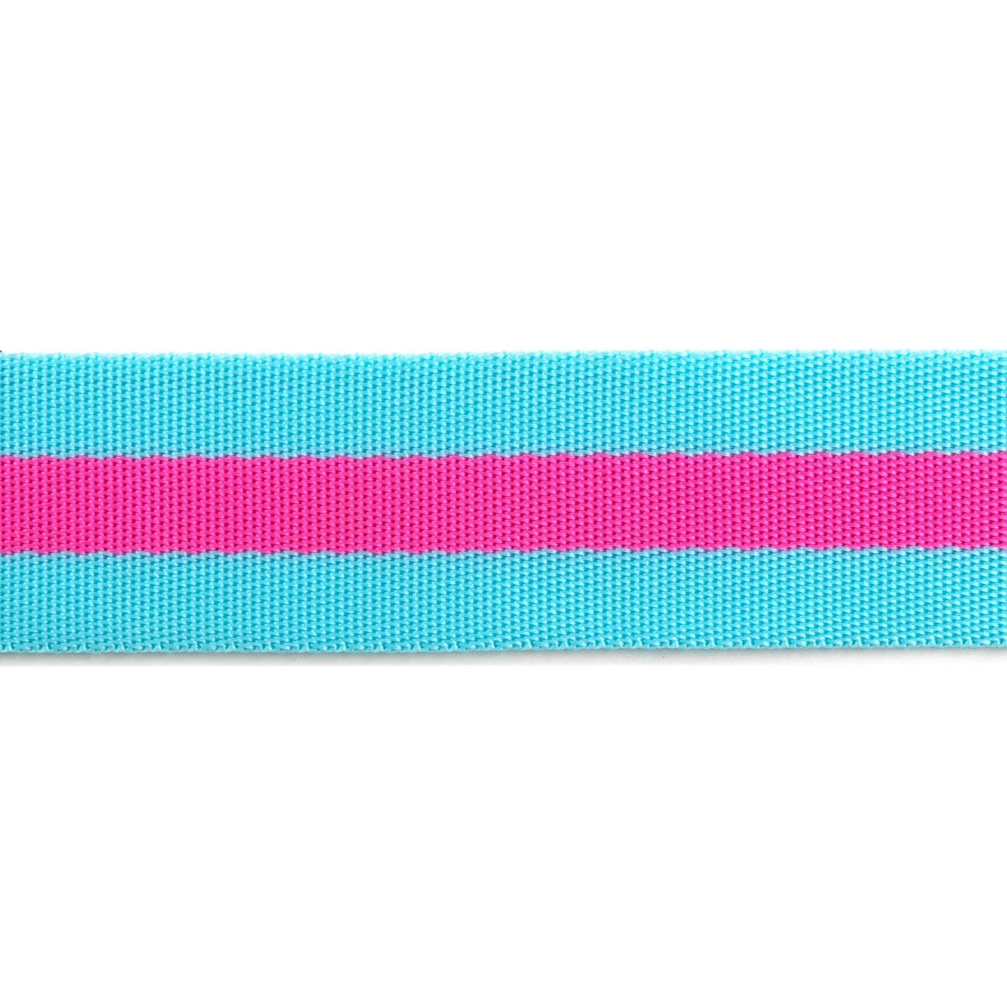 Aqua and Hot Pink - 1.5"-Tula Pink Webbing by the yard