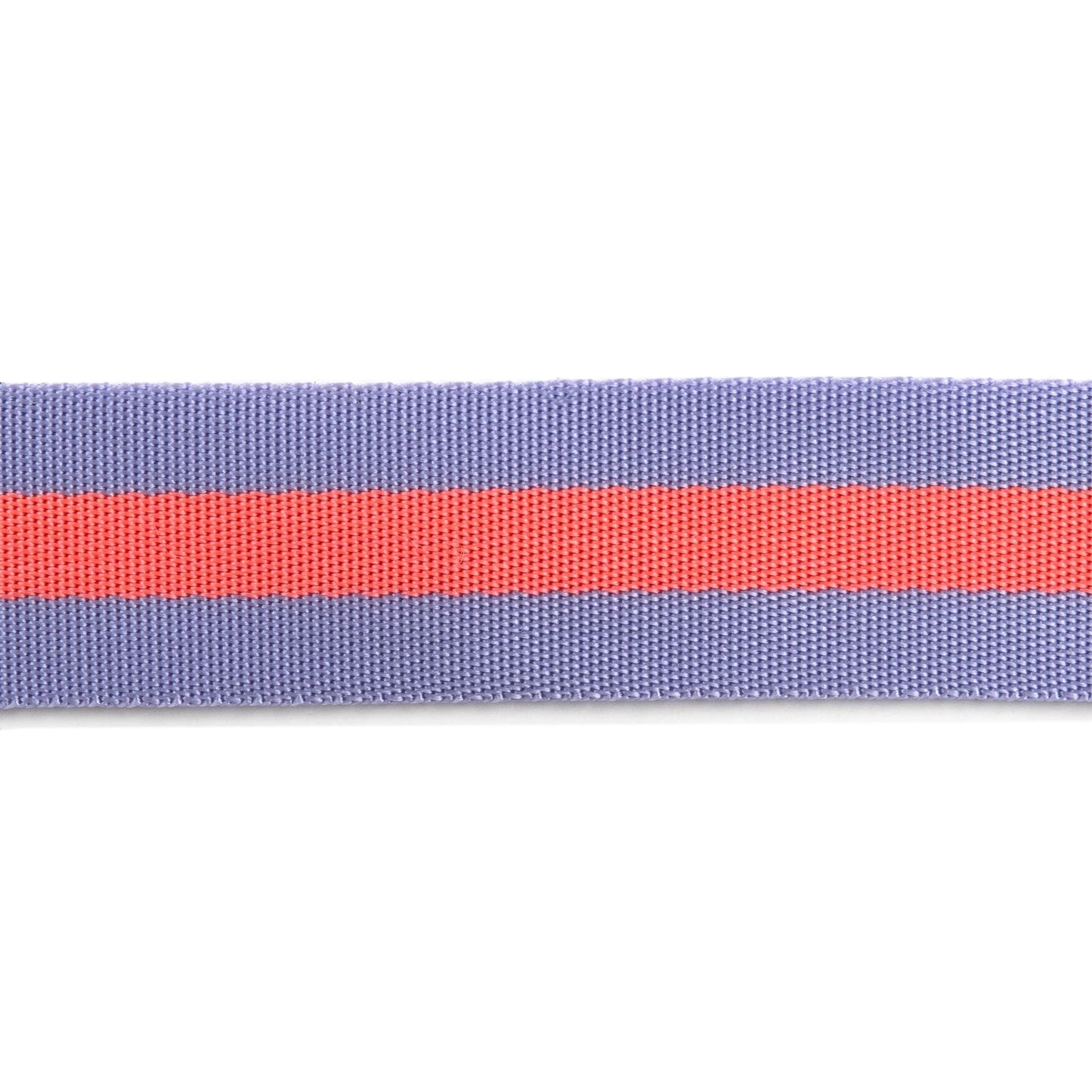 Lavender and Neon Peach - 1.5"-Tula Pink Webbing by the yard