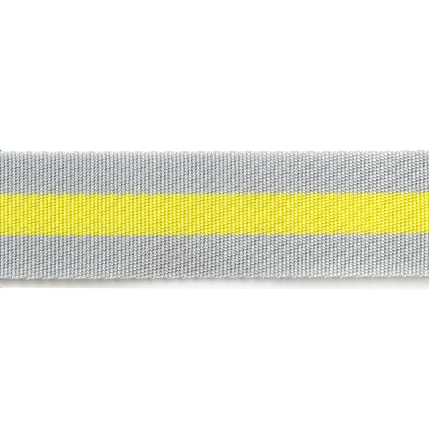 Soft Grey and Neon - 1.5"-Tula Pink Webbing by the yard