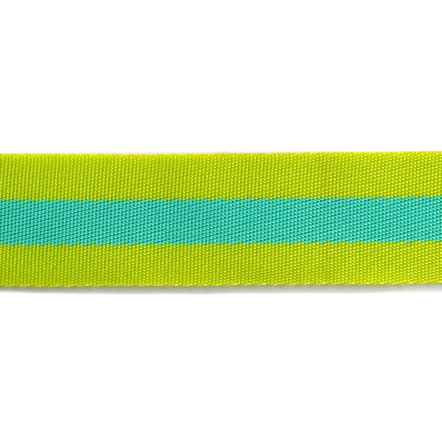 Lime and Turquoise - 1.5"-Tula Pink Webbing by the yard
